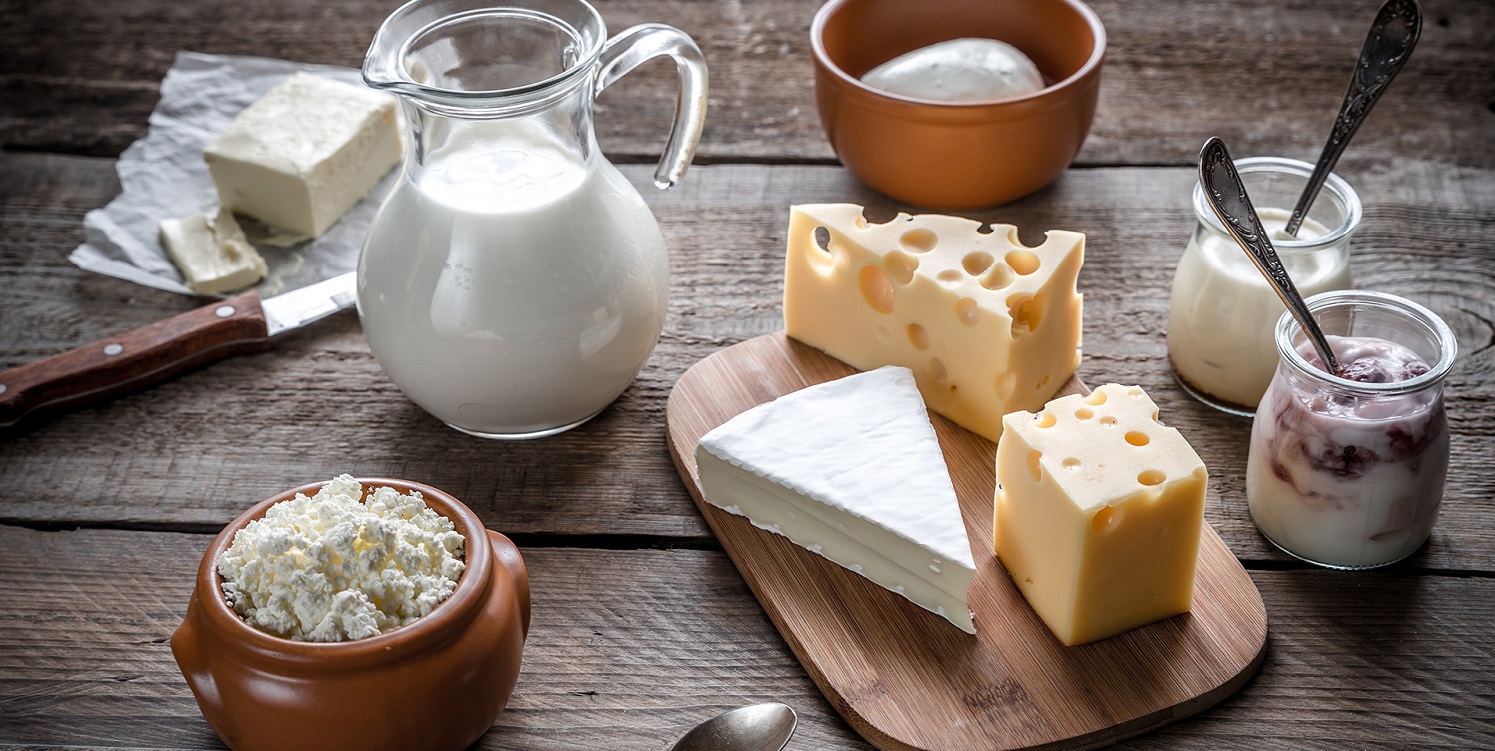Various types of dairy products