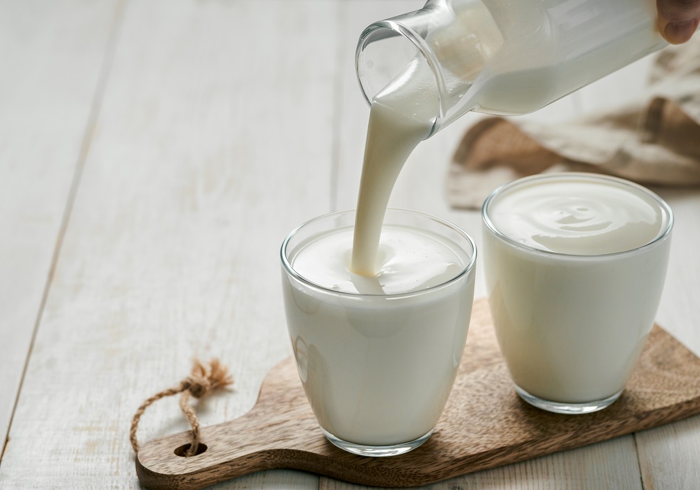 Pouring homemade kefir, buttermilk or yogurt